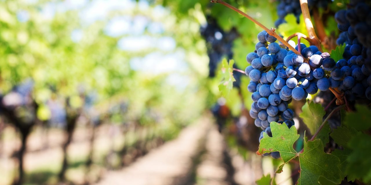Travel, Wine: Wine Marketing & Tourism Conference Moving to Eugene, Oregon