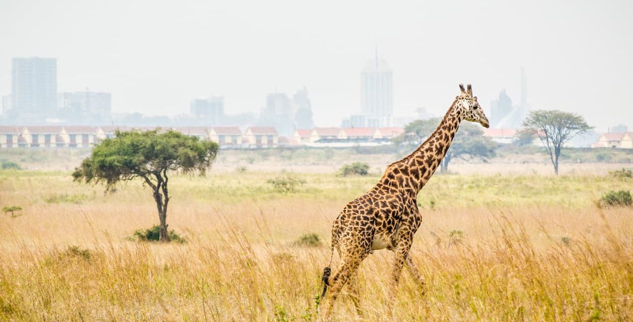 Travel: These 5 African Cities are More than Meets the Eye
