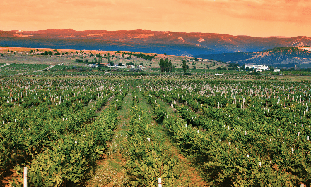 Los Angeles Wine: Santa Barbara Vintners Receives Grant to Boost Marketing in LA