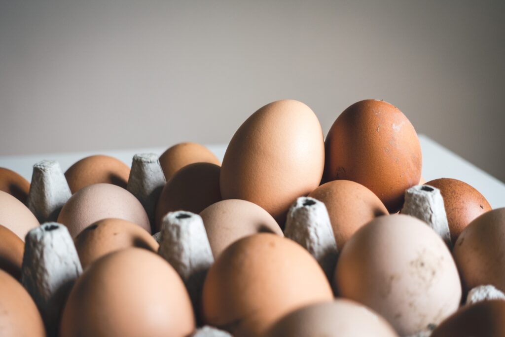 A Health Concern or Moral Gray area? Do Vegetarians Eat Eggs? - Daily