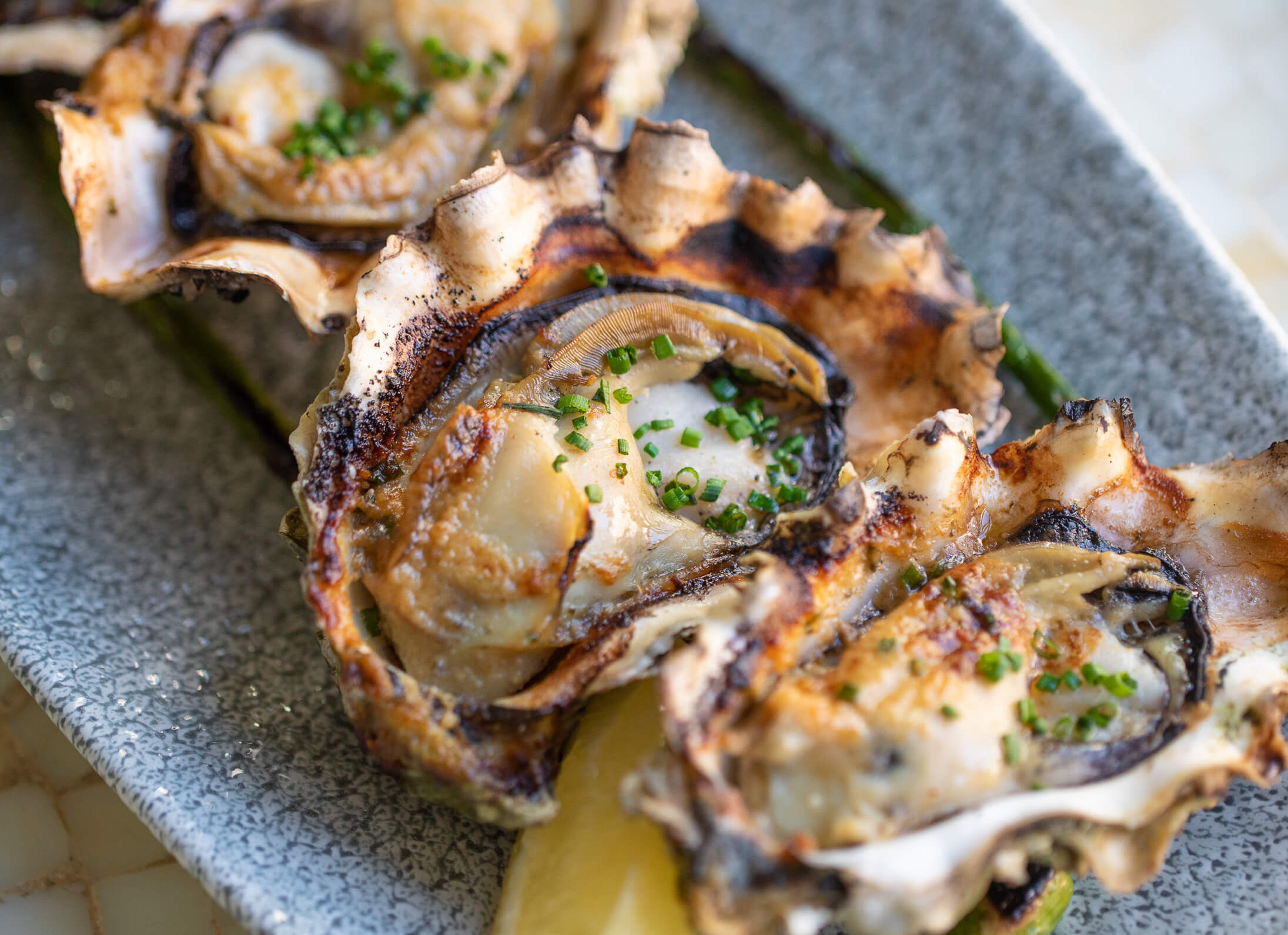 Grilled Oysters - Daily Ovation