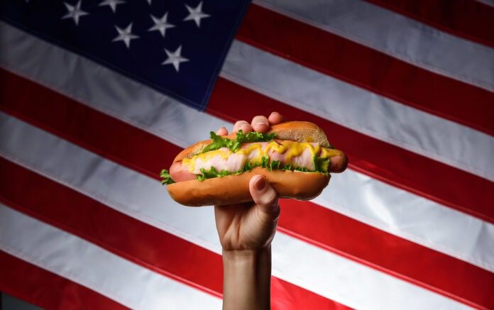 america-popular-hot-dog-style