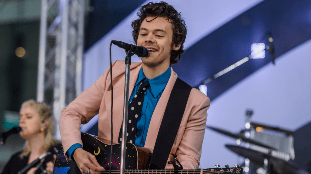 outfit harry styles love on tour