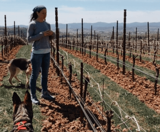 sarah-Cabot-portland-winemaker