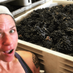 sarah-Cabot-portland-winemaker
