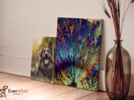 EverAfter-pet-art