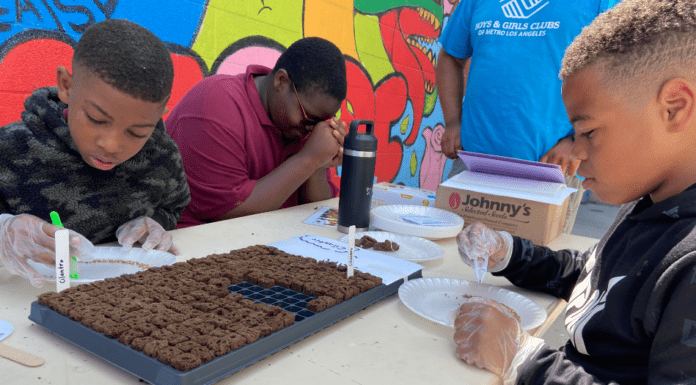 Wild Elements, Support + Feed, & Boys & Girls Clubs Launch Community
