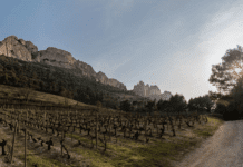Eve Bushman spends a week touring and tasting in Chateauneuf du Pape