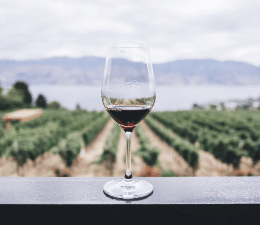 Italian Wine Ambassador Susannah Gold shares Oltrepo Pavese wines