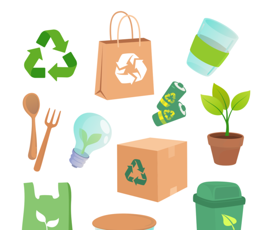 6 Ways to be More Eco-Friendly at Home