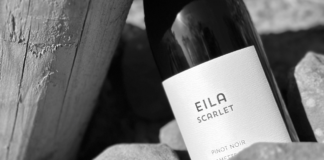 Eila Wines Shows Willamette's Intense, Complex Taste - Wine Review