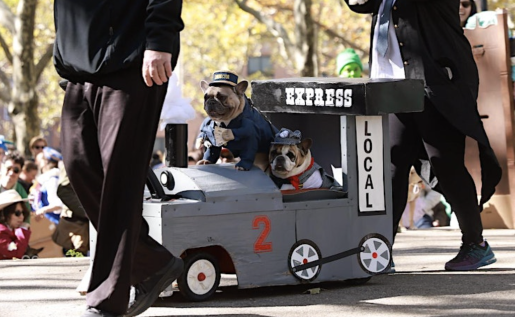 Great PUPkin Dog Costume Contest