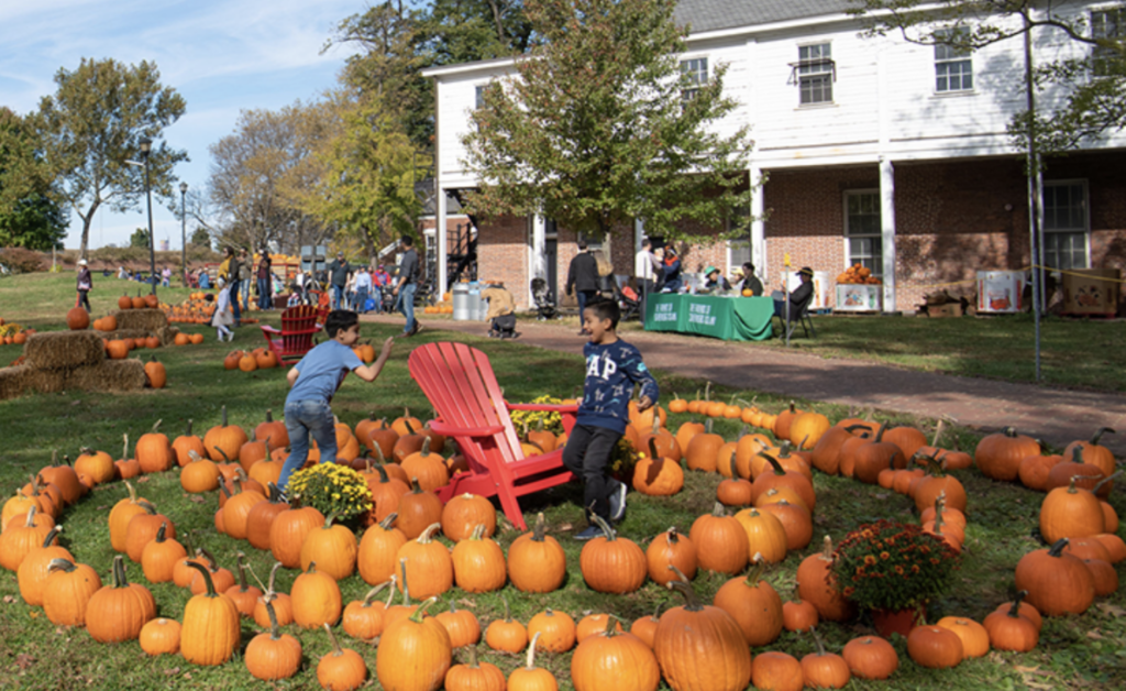 Pumpkin Point at Governors Island