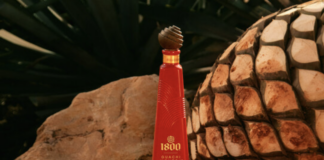 1800 Tequila Debuts 1800 GuachiMonton, New Luxury Anejo bottled in Red Ceramic