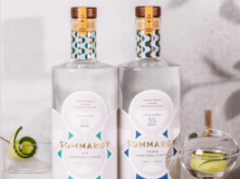 Sommarøy Spirits are premium craft-distilled Vodka and Gin