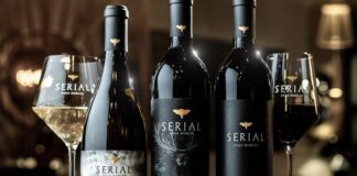 San Diego International Film Festival, Newport Beach Film Festival: Serial Wines Brings the Art of Film and Wine Together