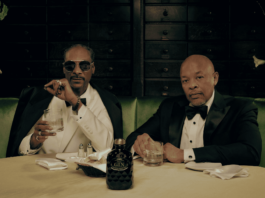 Elevate Your Spirits Game with Still G.I.N. By Dre and Snoop