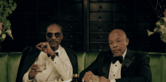 Elevate Your Spirits Game with Still G.I.N. By Dre and Snoop