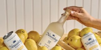 Limited Edition THC Infused Lemonade Cocktail