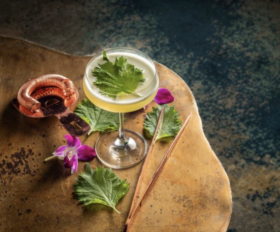 Why Fizz by Loews Hotels Is the Upscale, Spirit-Optional Beverage Trend  You'll Crave This Summer - Daily Ovation, image size:984x816