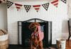 4th of July 2025 TV Guide and Streaming Schedule
