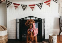 4th of July 2025 TV Guide and Streaming Schedule