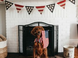 4th of July 2025 TV Guide and Streaming Schedule