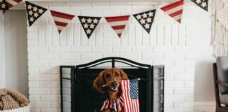 4th of July 2025 TV Guide and Streaming Schedule