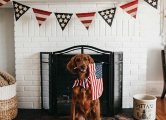 4th of July 2025 TV Guide and Streaming Schedule