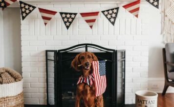 4th of July 2025 TV Guide and Streaming Schedule