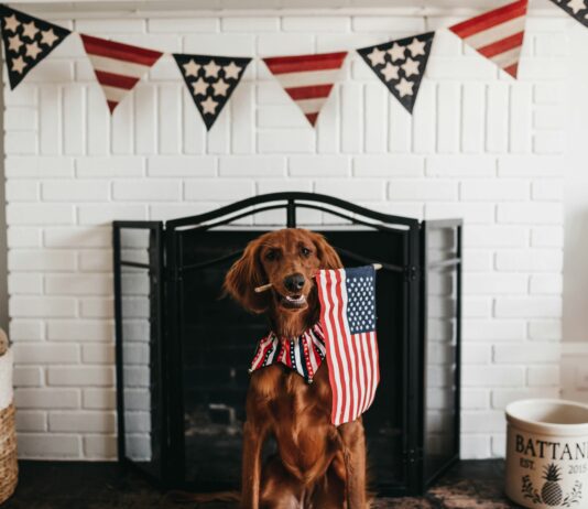 4th of July 2025 TV Guide and Streaming Schedule