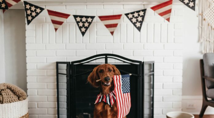 4th of July 2025 TV Guide and Streaming Schedule