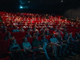 David Spitz heads Black Bear US theatrical film distribution
