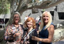 Volcanic Wine Tasting at Bodega Stratvs