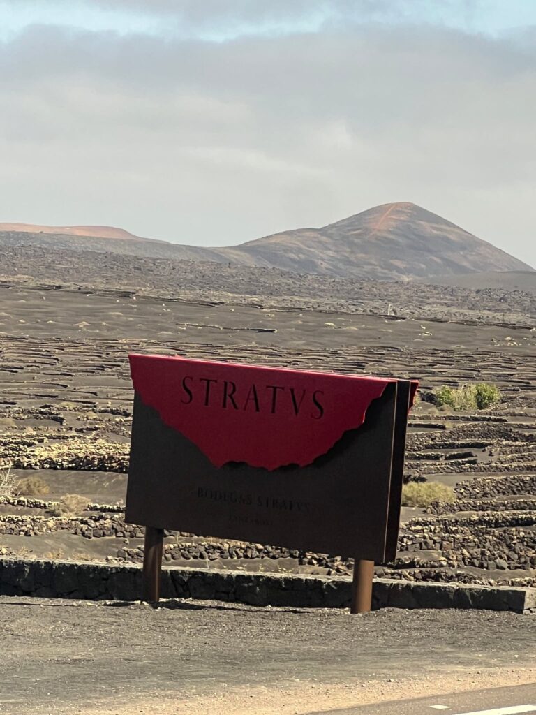 Volcanic Wine Tasting at Bodega Stratvs