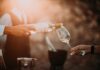 Wines of Mantova