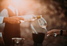 Wines of Mantova