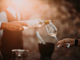 Wines of Mantova
