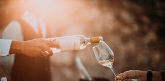 Wines of Mantova