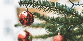 Celebrate the Holiday Spirit at the Elf Bar Los Angeles: A Magical Pop-Up Worth the Trip Elf Bar Los Angeles