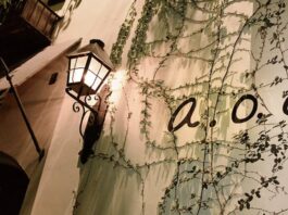 Celebrate New Year’s Eve at A.O.C. with a Mexican-inspired menu, curated wines, and a CDMX countdown. Flavor, luck, and style for 2026.