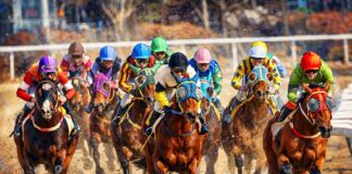 Godolphin leads North America's top breeders list for 2025