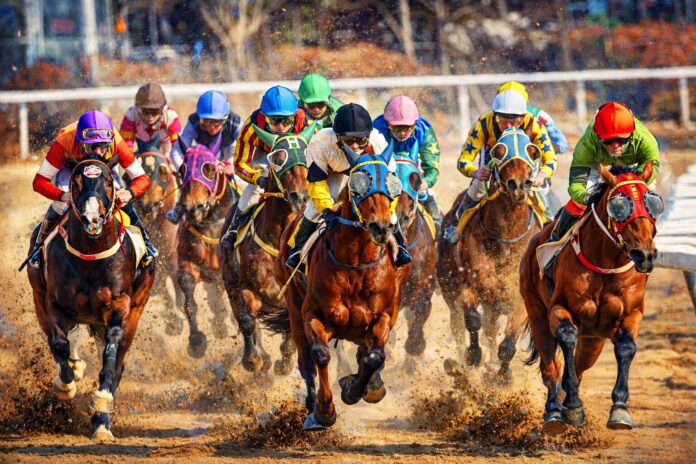 Godolphin leads North America's top breeders list for 2025