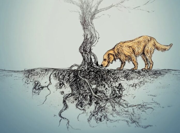 This rare truffle trade novel Buried Treasure from author Nick Greenberg dives into luxury food, crime, and obsession