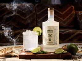 THC spirit for Dry January that delivers flavor, fast onset, and zero-proof sophistication from Upstate Elevator.