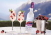 GREY GOOSE Berry Rouge Signals a Smarter Future for Berry Flavored Vodka GREY GOOSE Berry Rouge redefines berry flavored vodka with real fruit