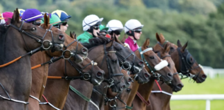 Edward Enborg and Mark McGuire won qualifying berths to the 2026 National Horseplayers Championship in Las Vegas