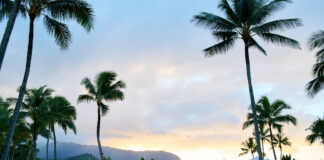 Nature's Wellness Sanctuary at 1 Hotel Hanalei Bay