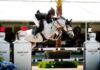 The Tequila That Beat History in Horse Country Chrome Horse moved 140 cases at WEF 2026