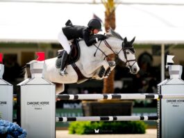 Chrome Horse moved 140 cases at WEF 2026